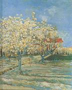 Orchard in Blossom (nn04) Vincent Van Gogh